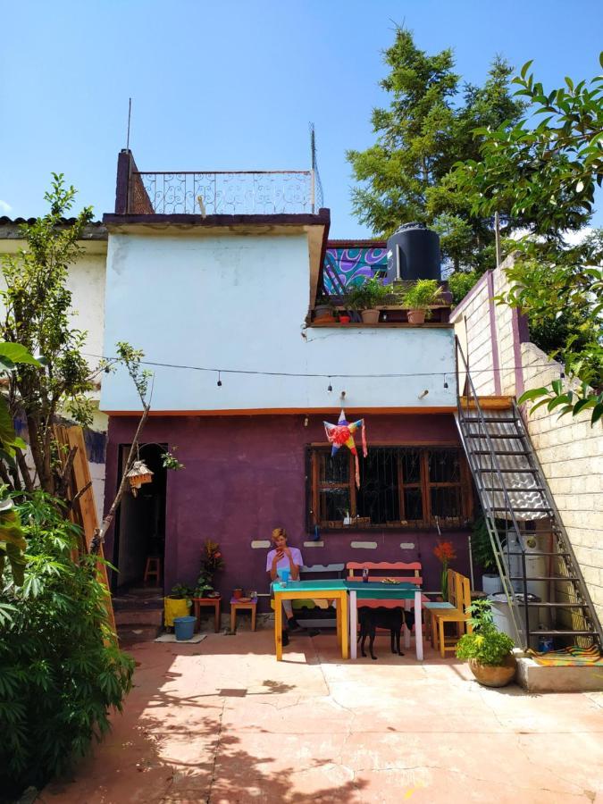Lipi House Hostel San Cristóbal de Las Casas Екстериор снимка