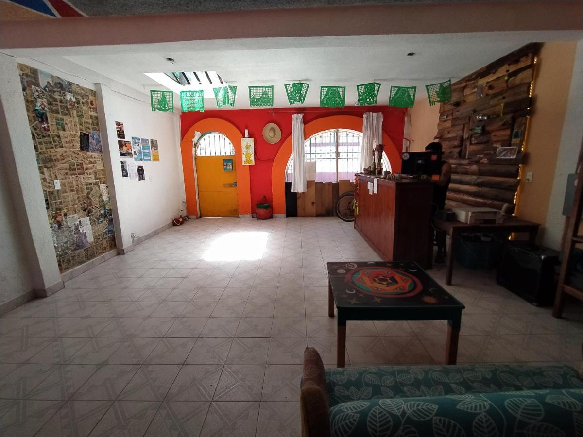 Lipi House Hostel San Cristóbal de Las Casas Екстериор снимка