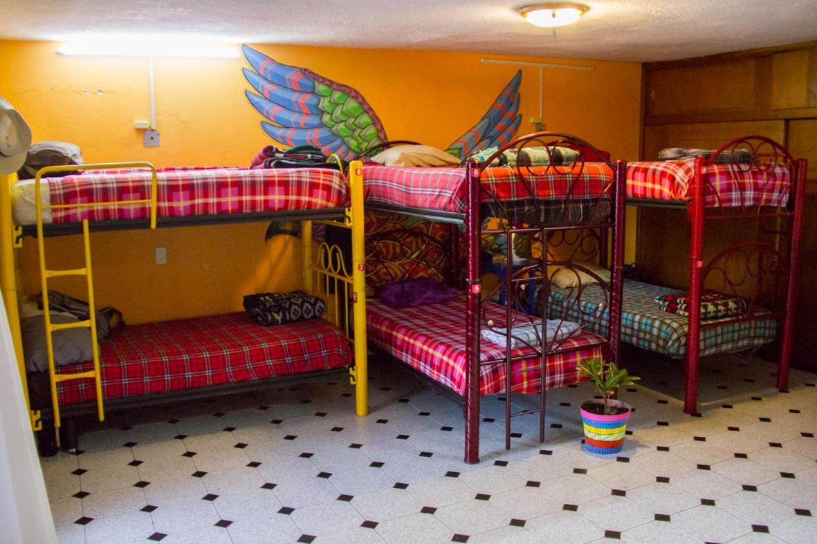 Lipi House Hostel San Cristóbal de Las Casas Екстериор снимка